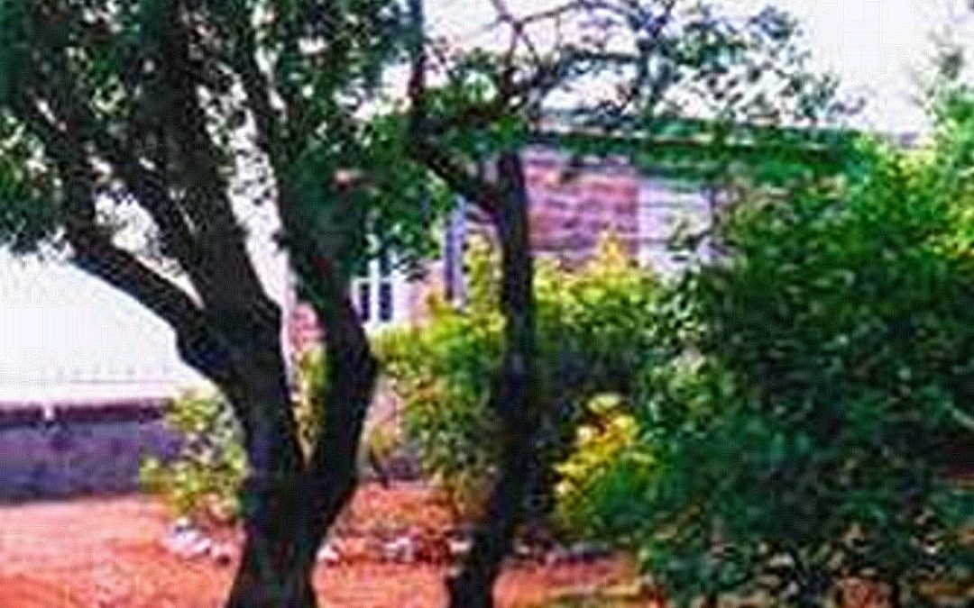 boullenger Annexe Jardin